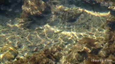 蓝绿色的海水覆盖了布拉瓦海岸附近的岩石